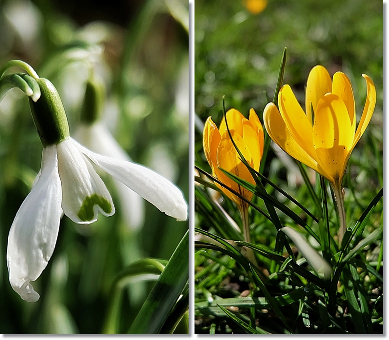 Hoffnung auf Frühling