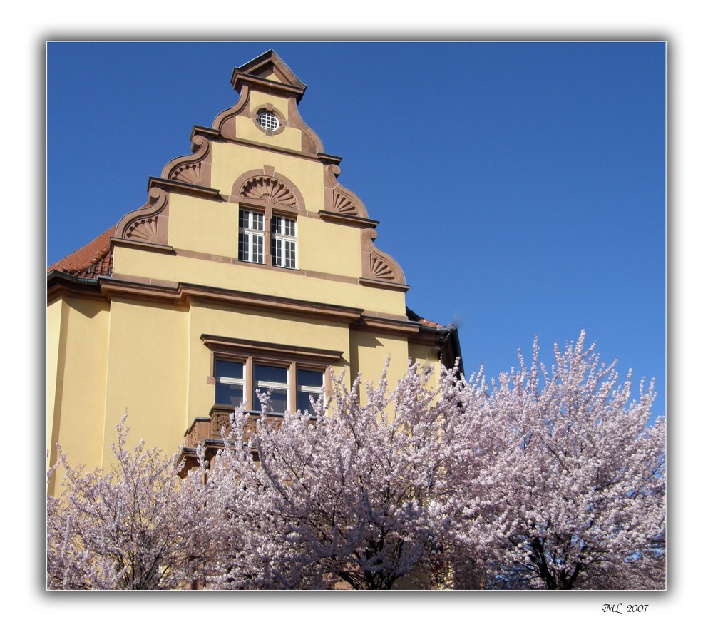 Hoffnung auf Frühling (I)