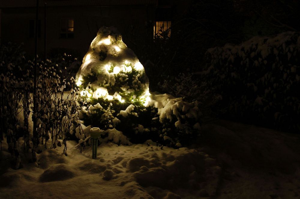 Hoffnung auf weiße Weihnacht