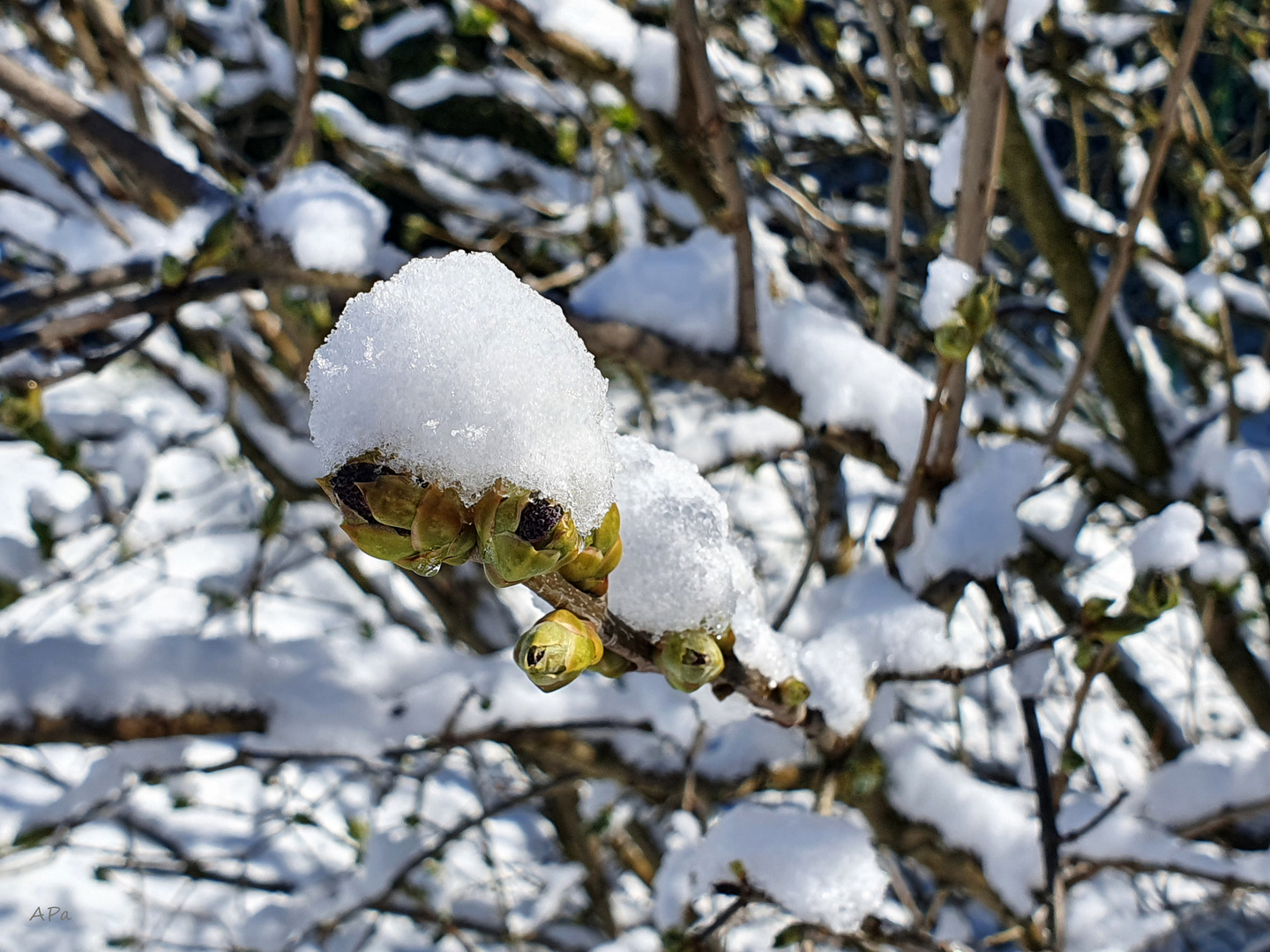 Hoffnung auf "Weiße Weihnachten"?