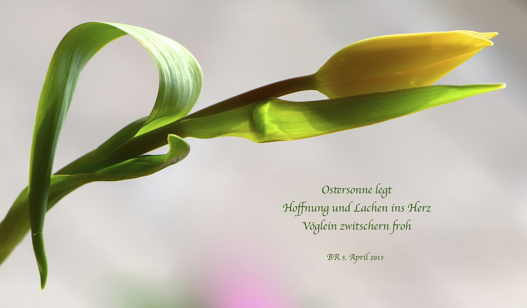 Discovering the Power of Hoffnung Bild Kostenlos: A Comprehensive Guide