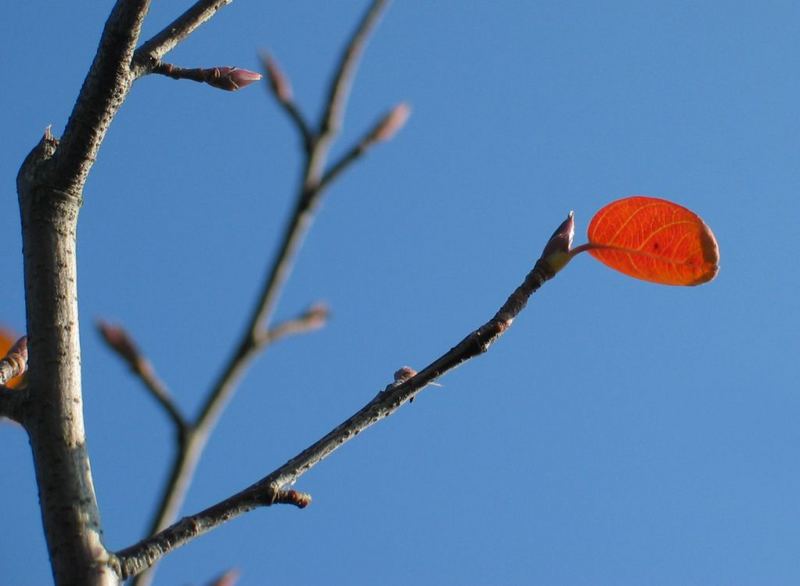 Hoffnung im Herbst