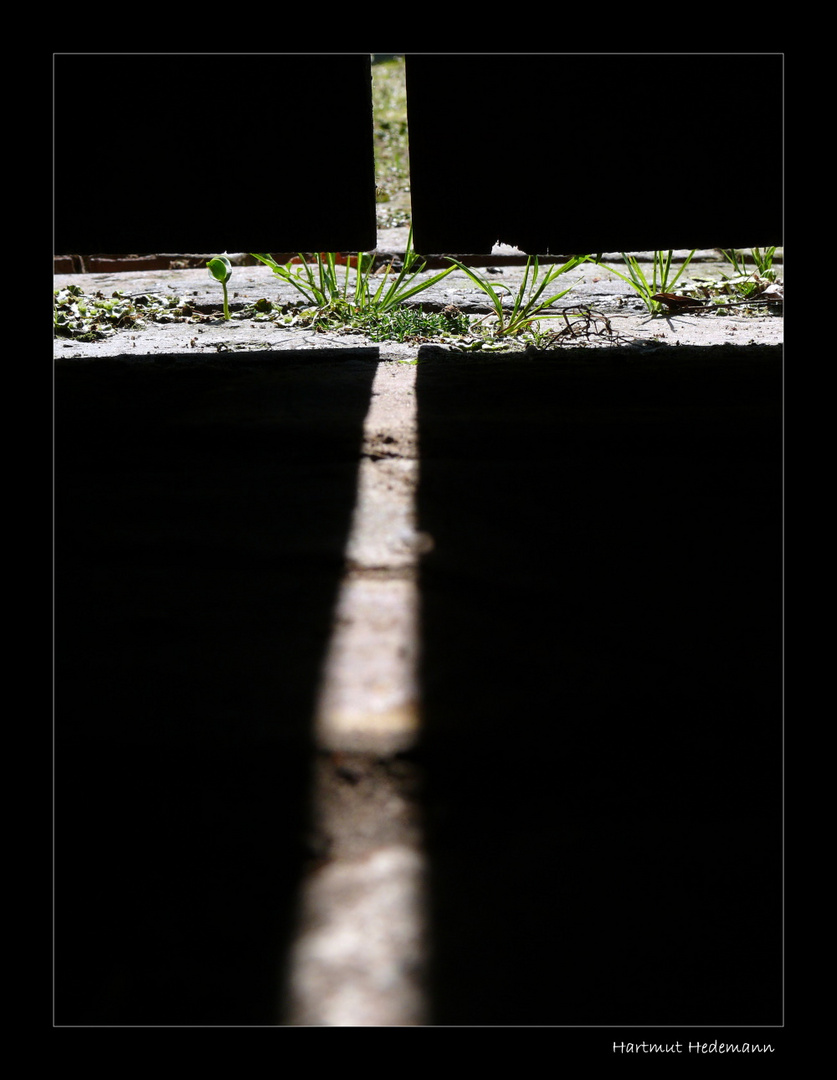 Hoffnung im Kreuz des Lebens