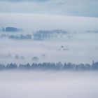 Hoffnung im Nebelmeer