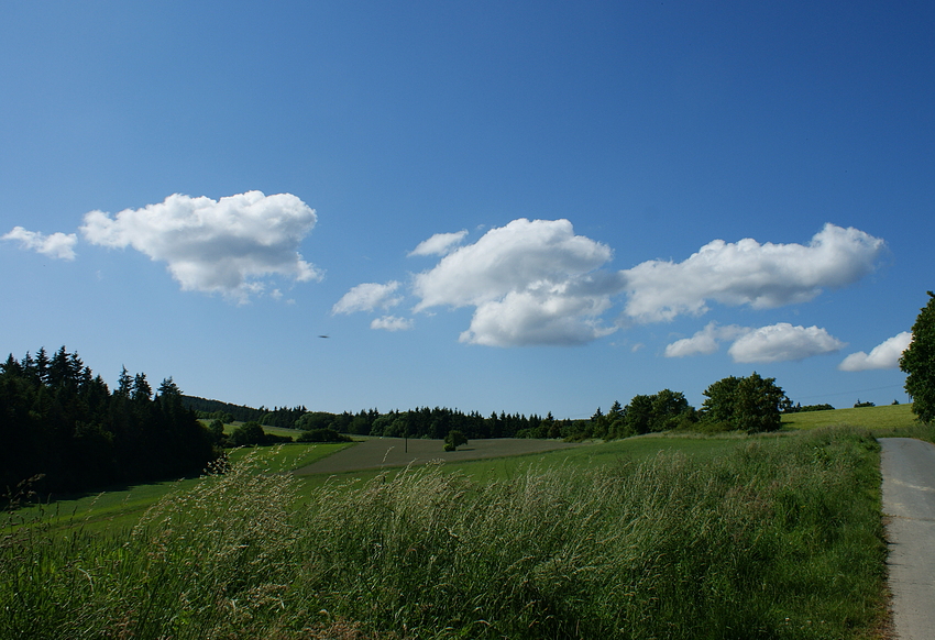 Hoffnung und Erinnerung