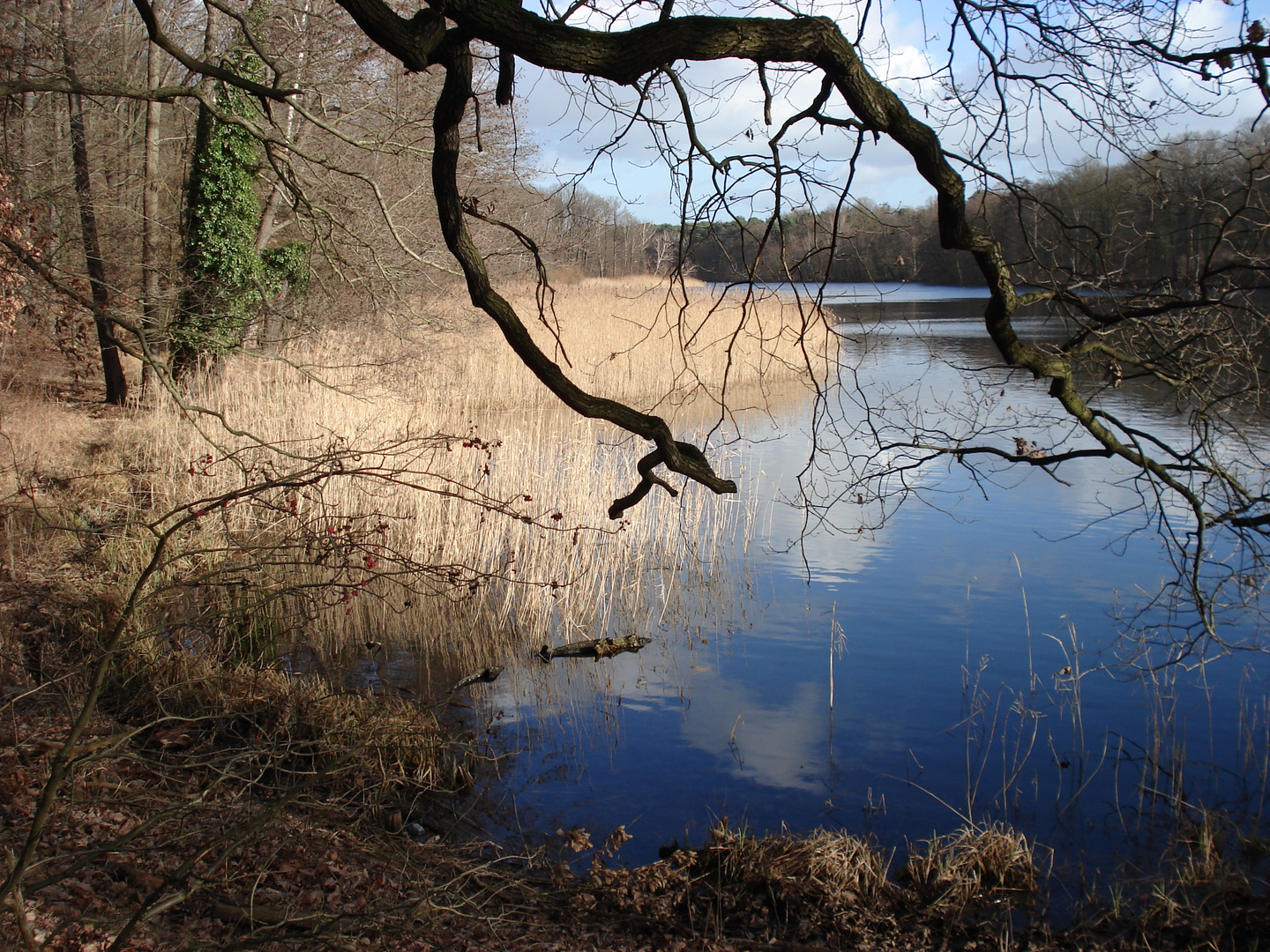 hoffnungsblau