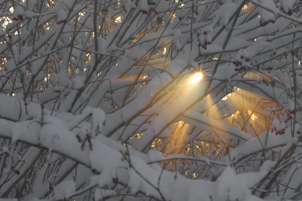 Hoffnungslichter im Winter