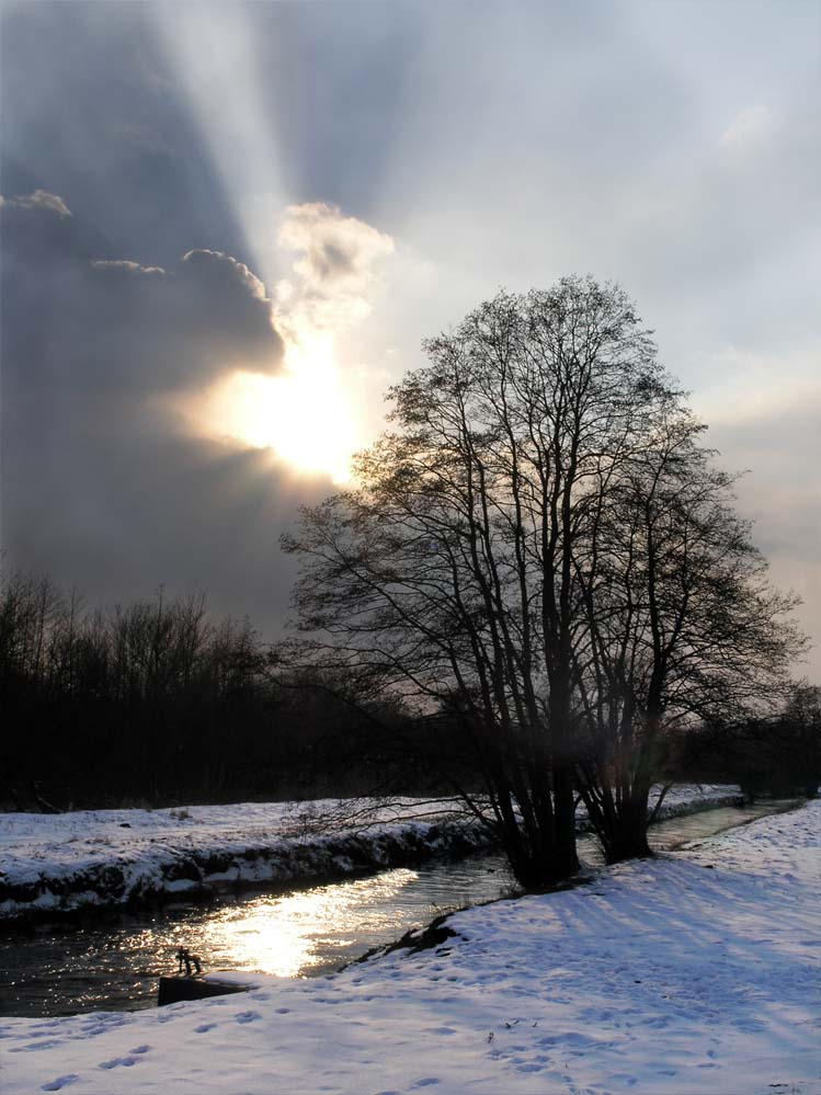 Hoffnungsschimmer im Schnee