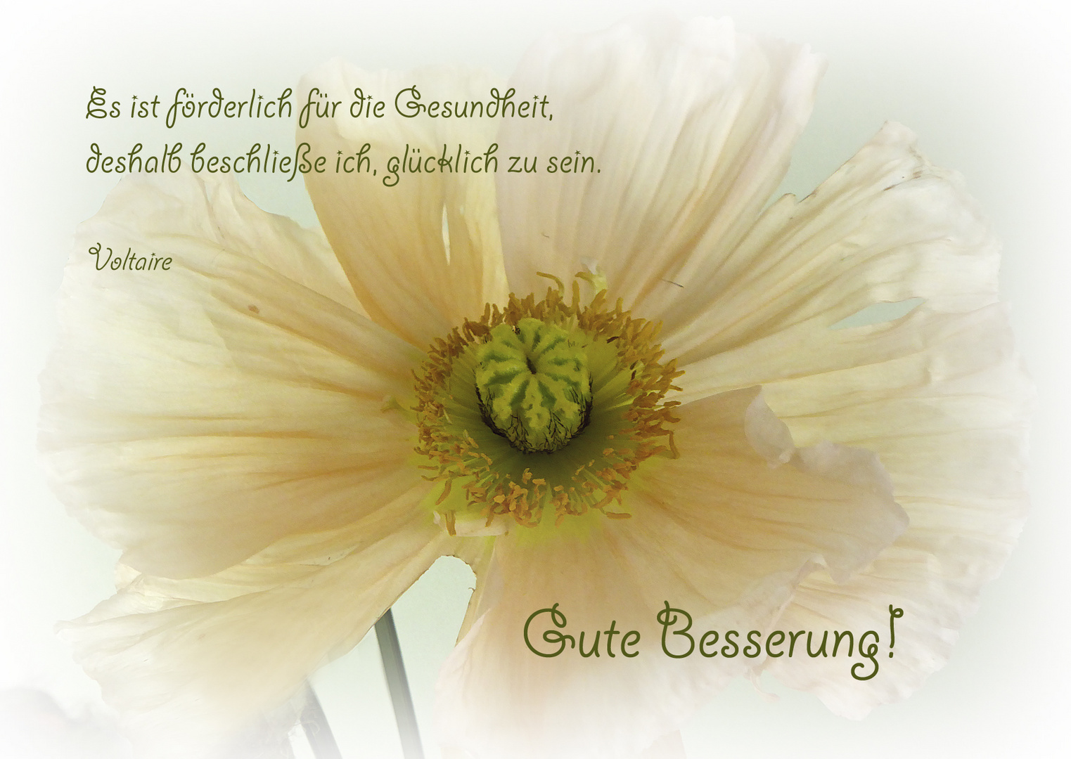 Get In der zukunft schauen For iPhone Free