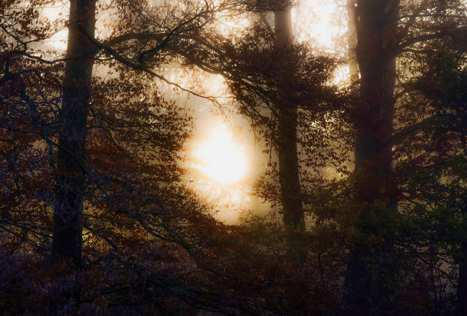 Hoffnungsvoller Blick ins Licht