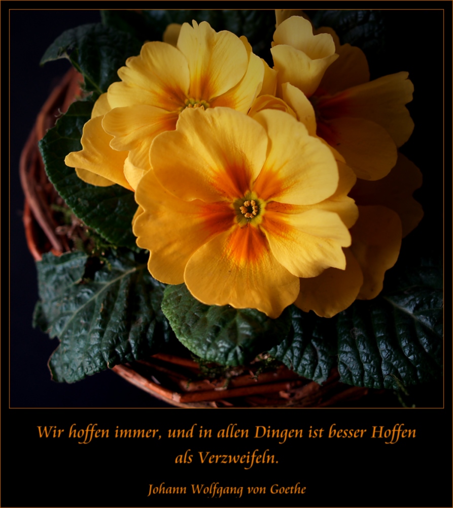 Hoffnung.....und Goethe