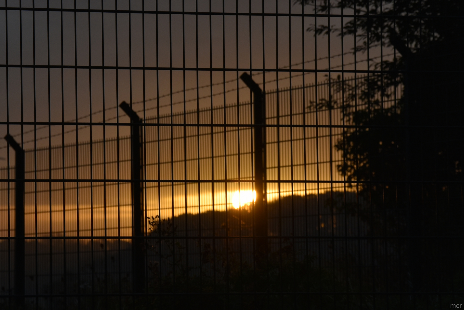 Hofgang am Morgen