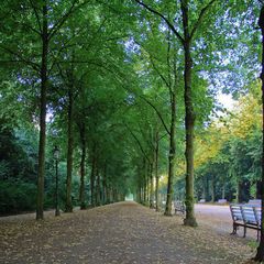 Hofgarten