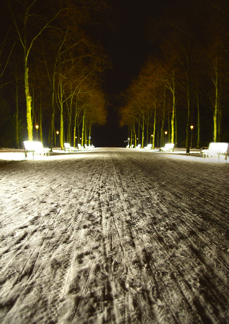 Hofgarten