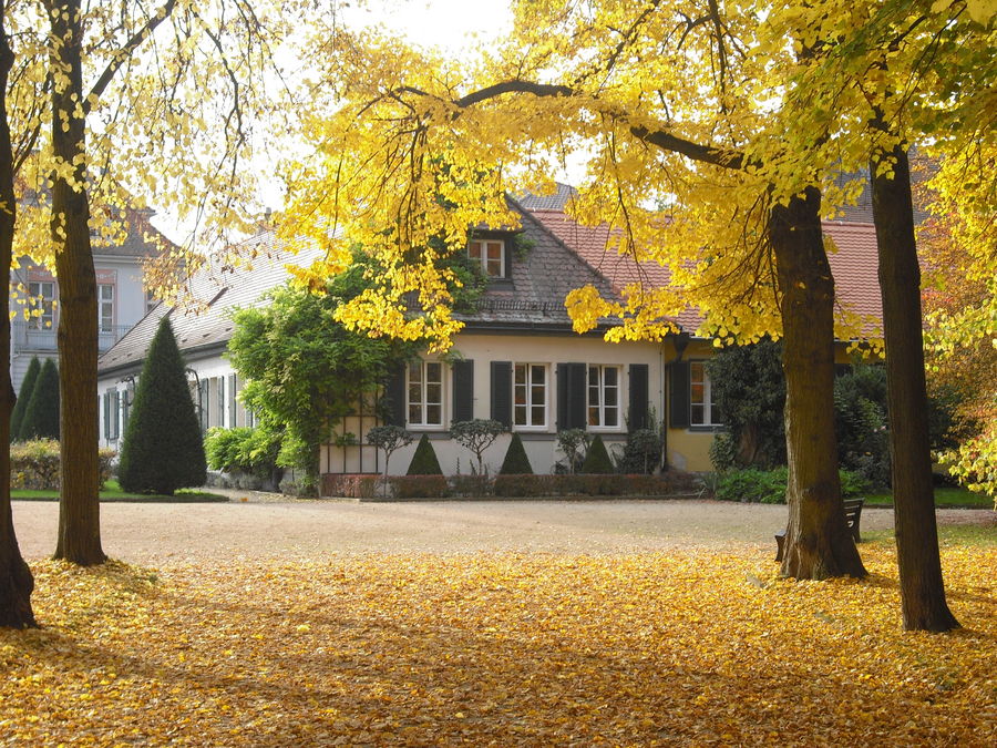 Hofgarten