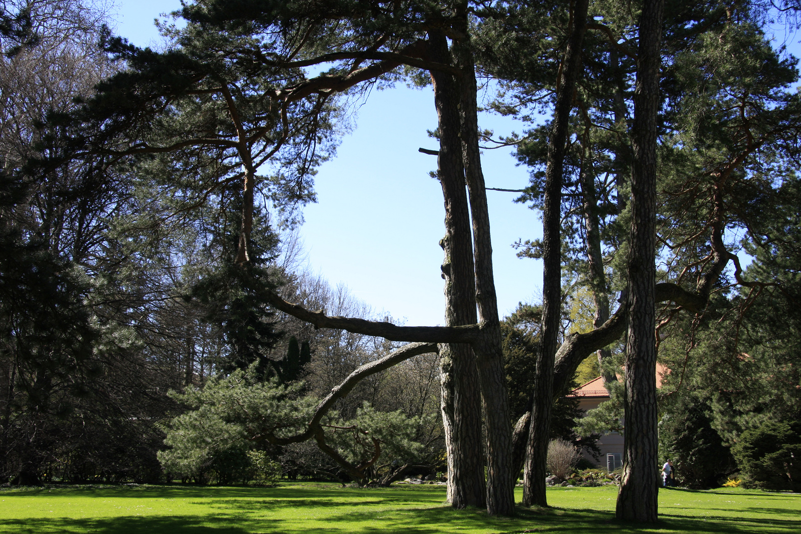 Hofgarten