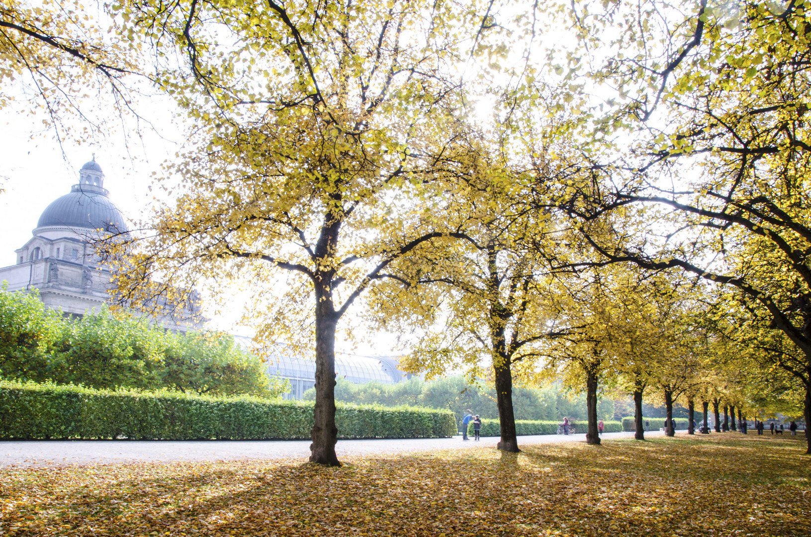 Hofgarten