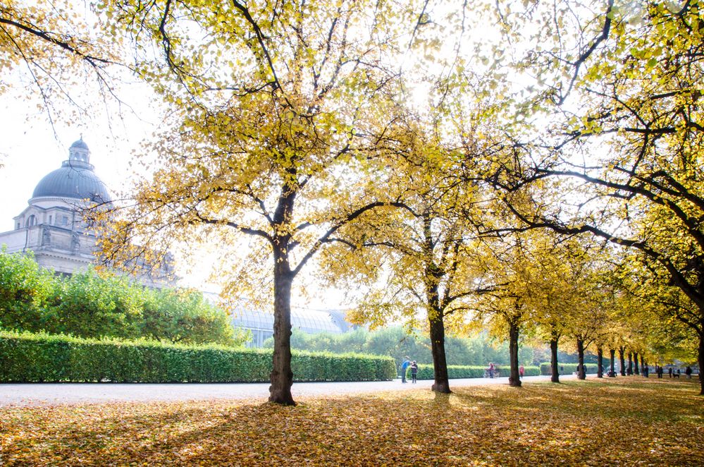 Hofgarten