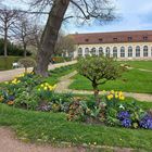 Hofgarten Ansbach (1)