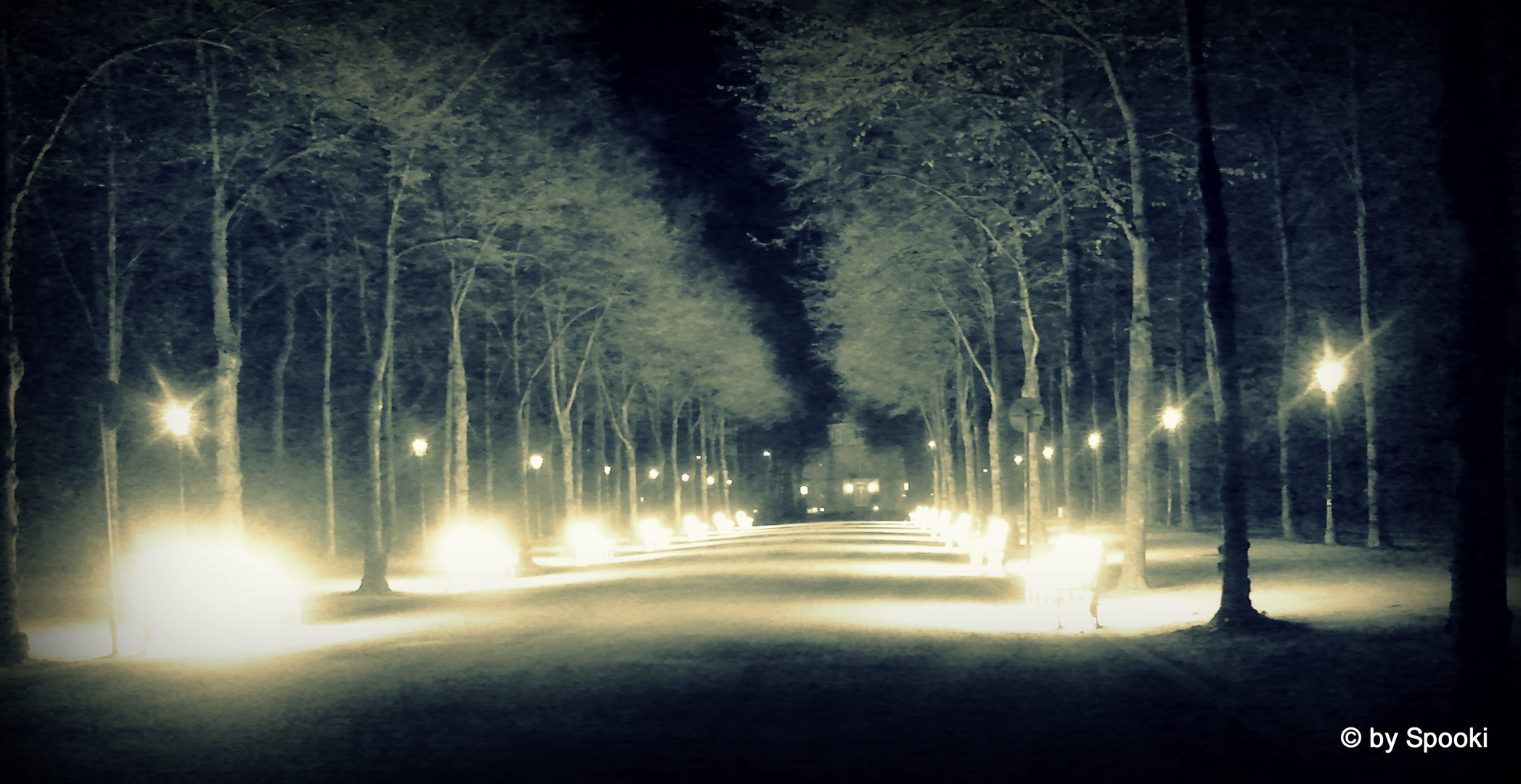 Hofgarten at Midnight