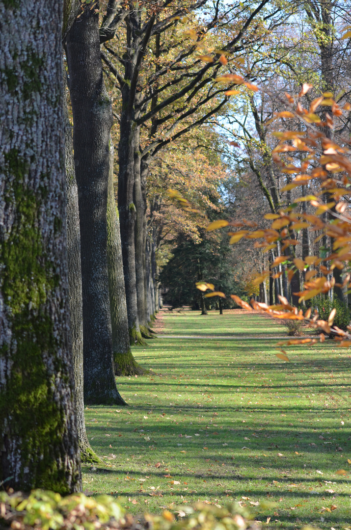 Hofgarten Bayreuth.