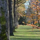 Hofgarten Bayreuth.