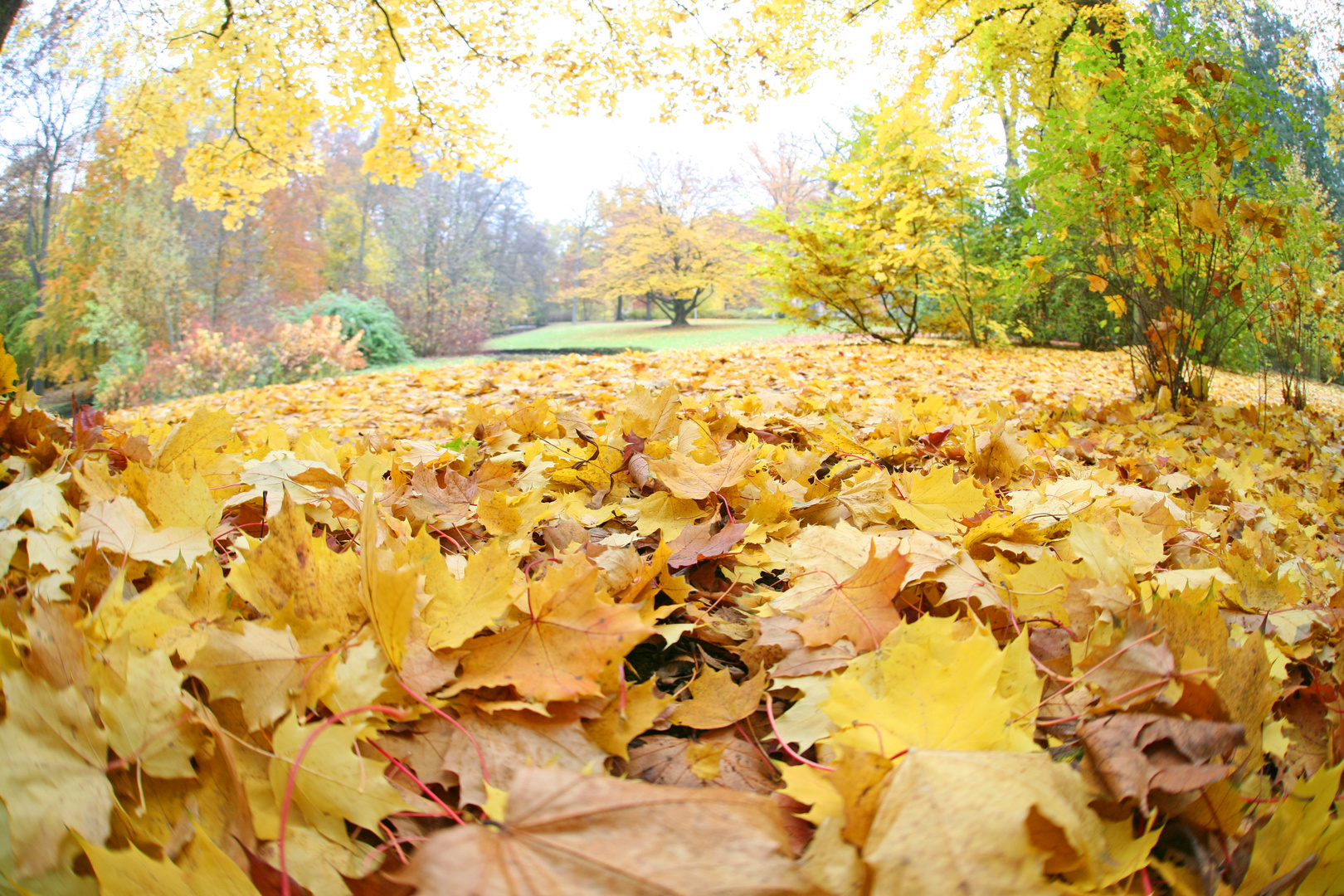 Hofgarten Bayreuth Herbststimmung