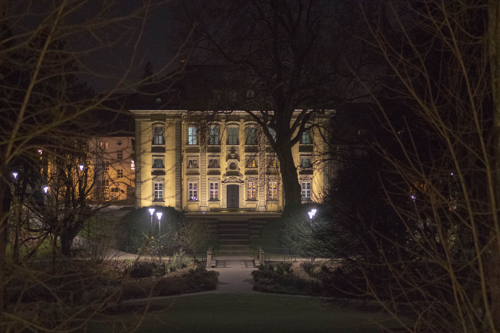 Hofgarten bei Nacht