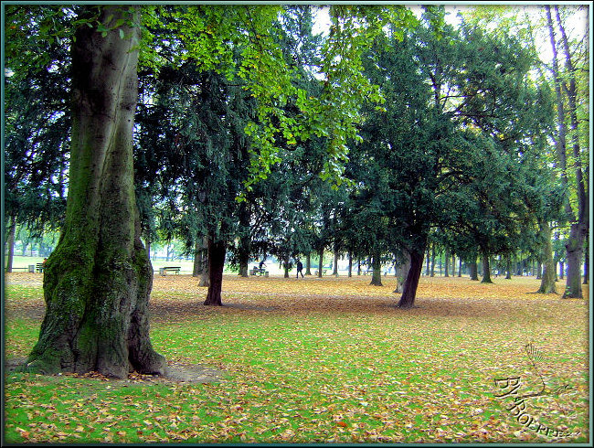 Hofgarten Bonn am 24.10.2008