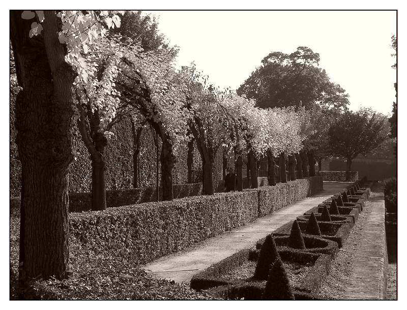 Hofgarten der Residenz Würzburg (1)