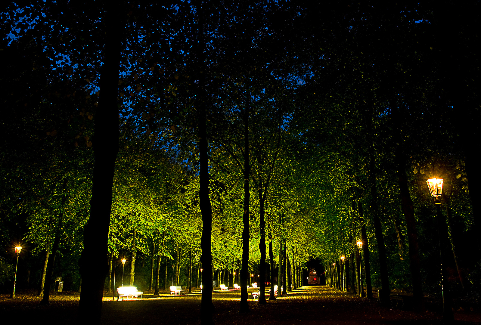 Hofgarten Düsseldorf 2