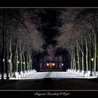 Hofgarten Düsseldorf @ Night