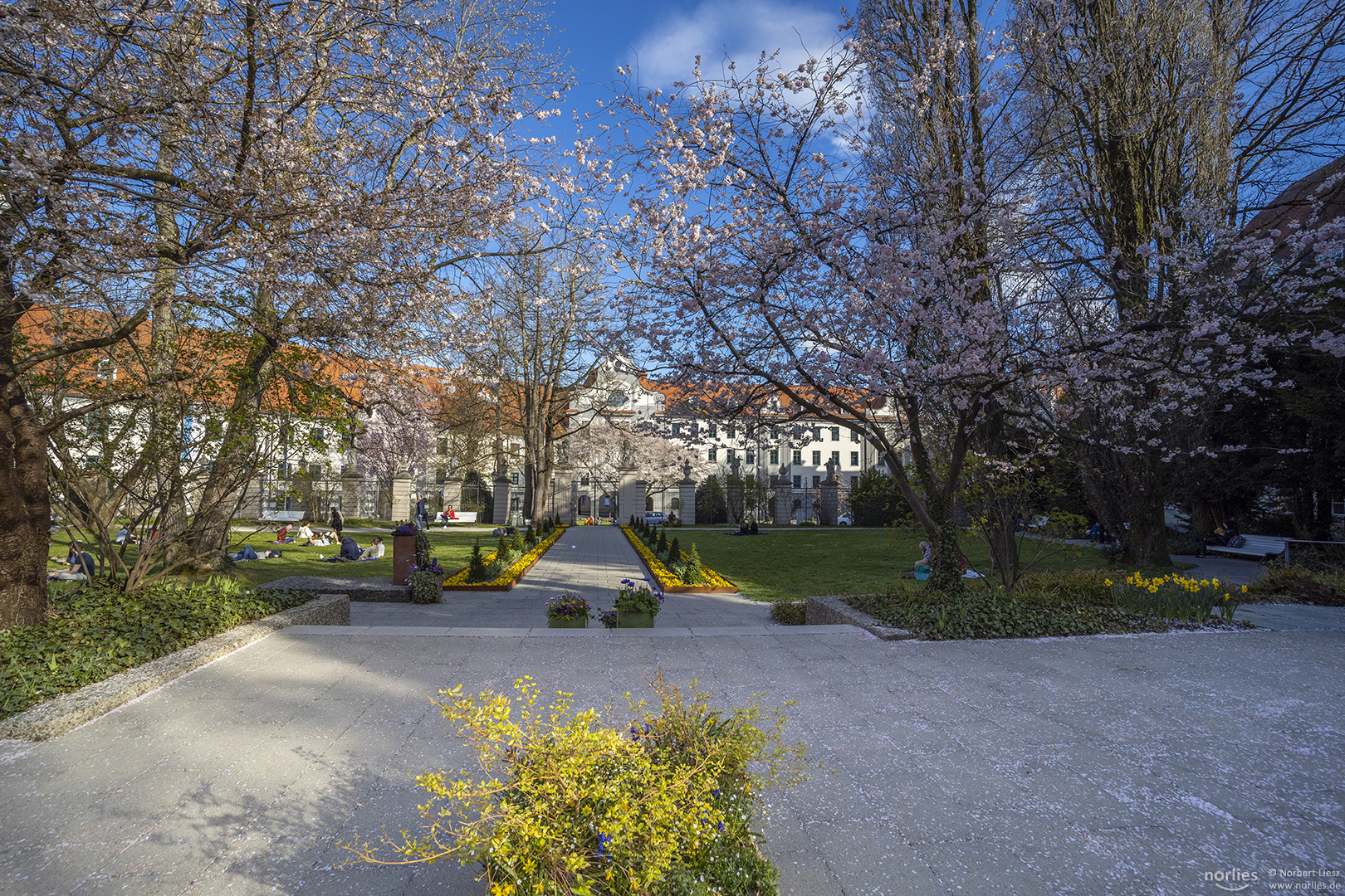 Hofgarten im Frühling