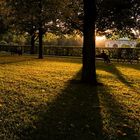 Hofgarten im Herbst