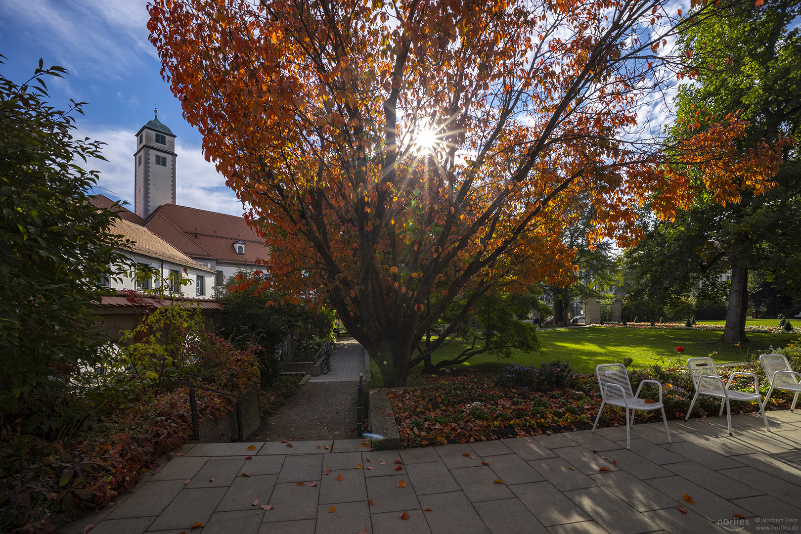 Hofgarten im Herbstlicht