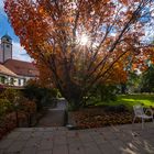 Hofgarten im Herbstlicht