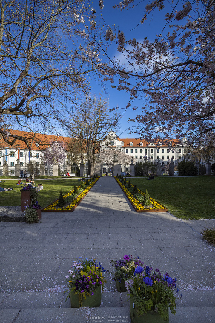 Hofgarten mit blauem Himmel