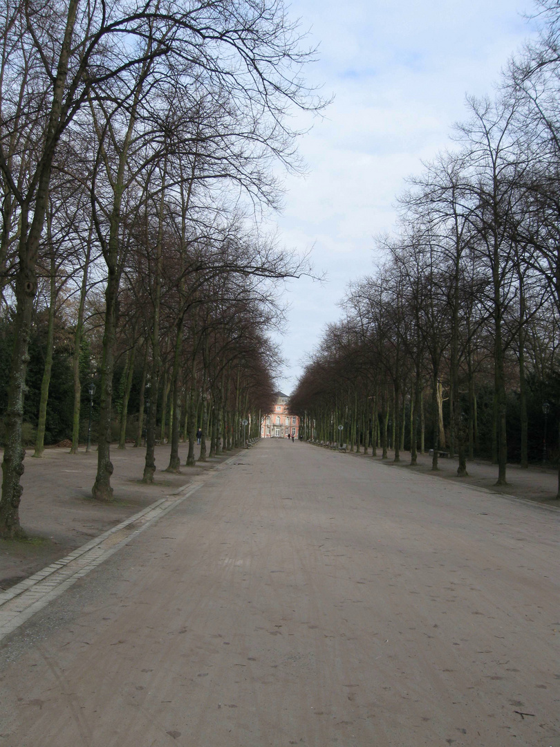 Hofgarten, mit Blick auf Schloss Jägerhof