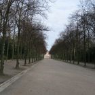 Hofgarten, mit Blick auf Schloss Jägerhof