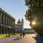 Hofgarten München am Spätnachmittag