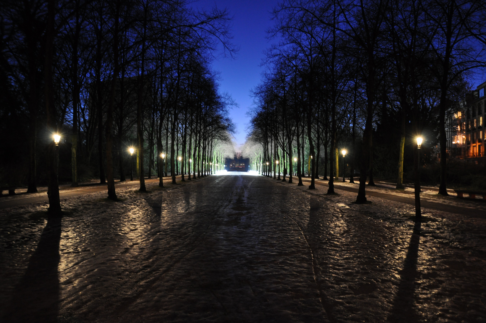 Hofgarten Reiterallee