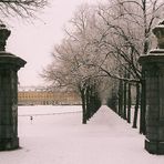Hofgarten und Universität im Schnee