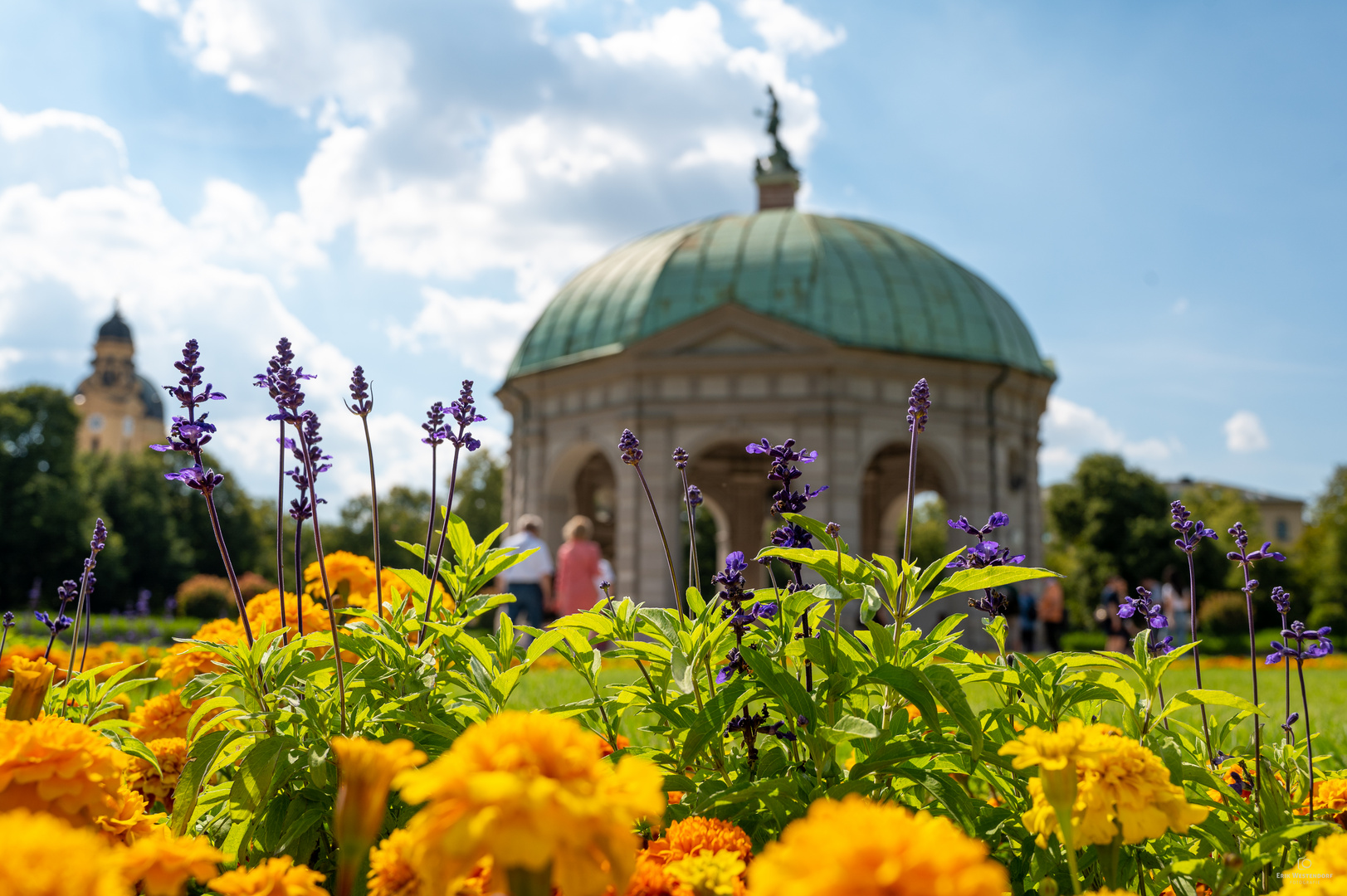 Hofgartenblümchen