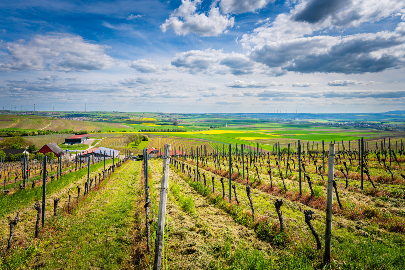  Hofgut Donnersberg bei Vendersheim 26