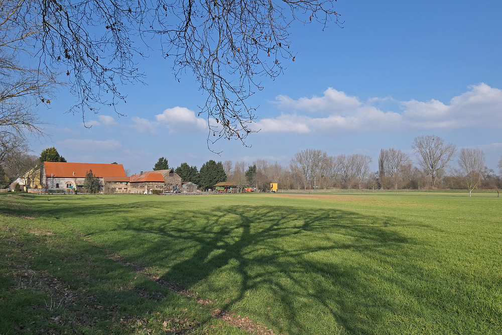 Hofgut Langenau: Frühlingsstimmung 01