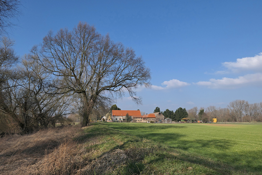 Hofgut Langenau: Frühlingsstimmung 02