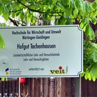 Hofgut Tachenhausen
