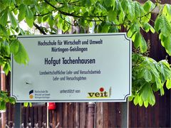 Hofgut Tachenhausen