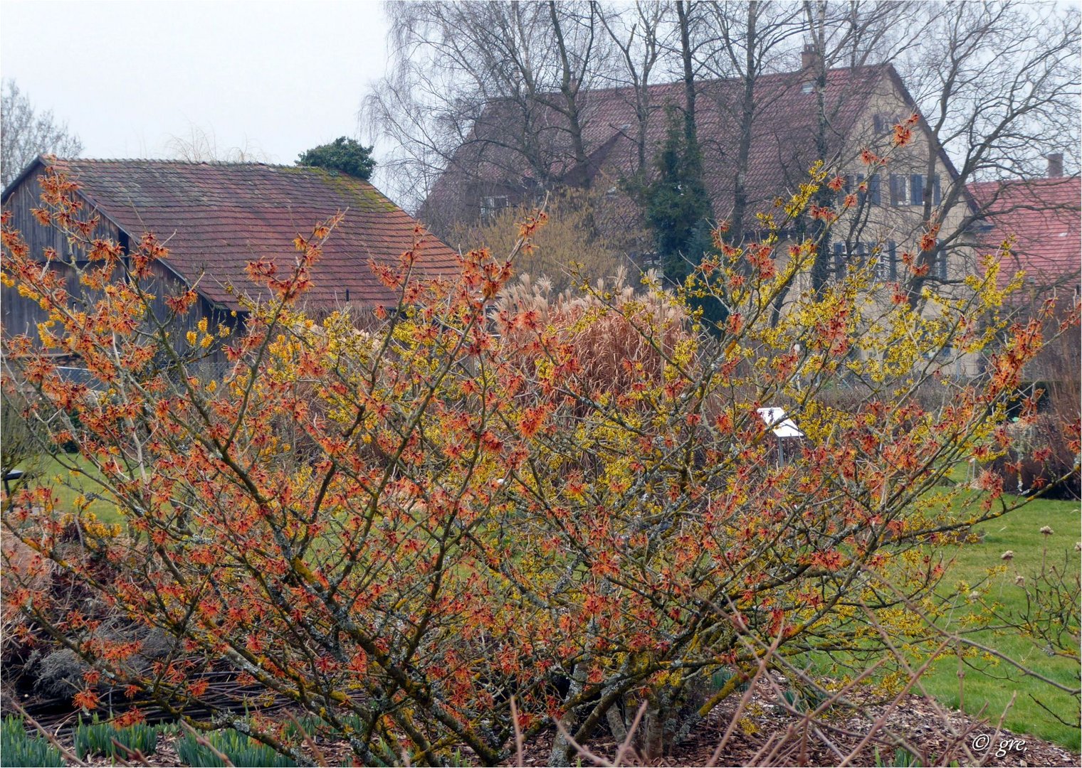 Hofgut Tachenhausen