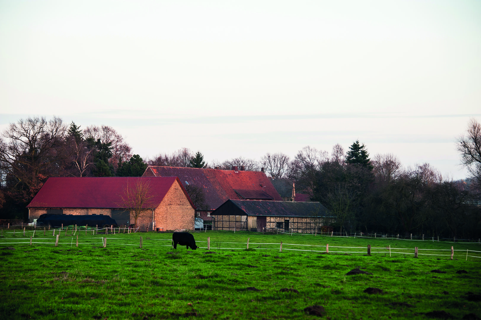 Hofidylle im Münsterland